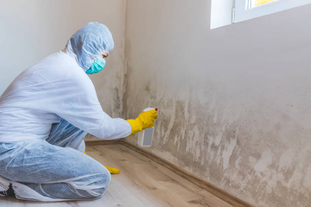 Mold Remediation specialist working in Allentown